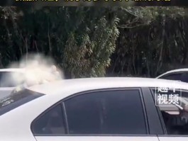 黑客24小时app在线追款提现📞黑客24小时APP追款提现平台-bilibili_哔哩哔哩