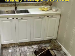 黑客24小时在线查询网站😡黑客24小时在线app提现-bilibili_哔哩哔哩
